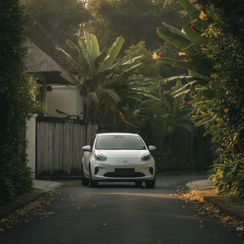 Car — economy / compact